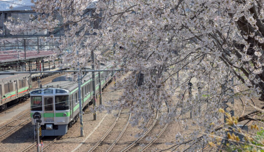 小樽の春〜偶然出会った桜と電車